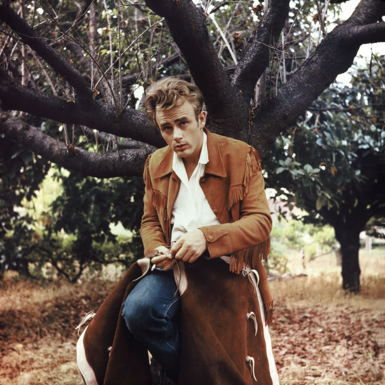 DECAYING HOLLYWOOD MANSIONS James Dean in Color by Sanford Roth