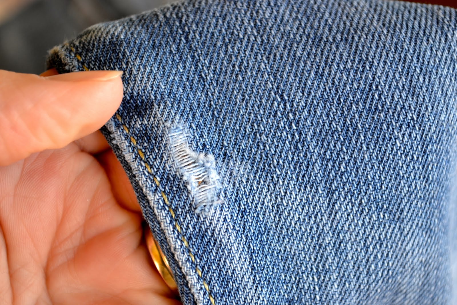 First Lady of the House Fabric Mending Tape