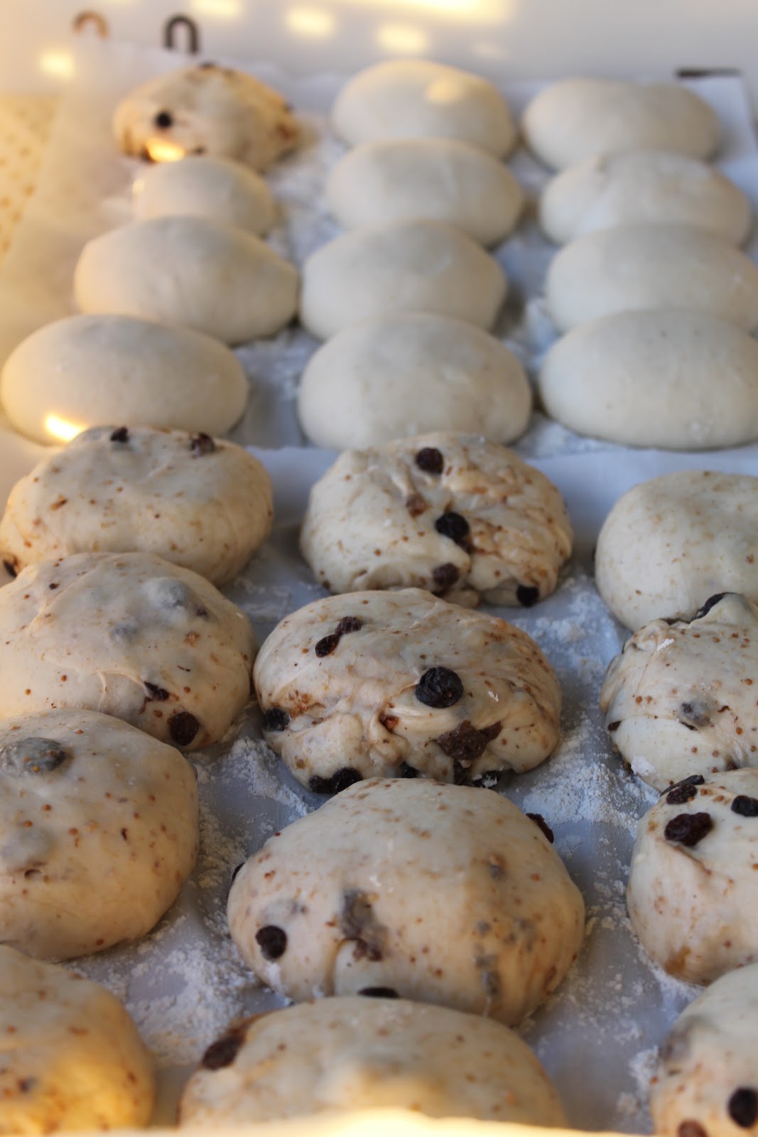 The Shady Baker Sourdough Fruit Buns