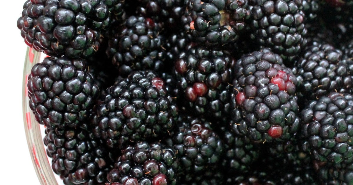 Keeping It Cozy Blackberry Preserves (PectinFree and With Honey)