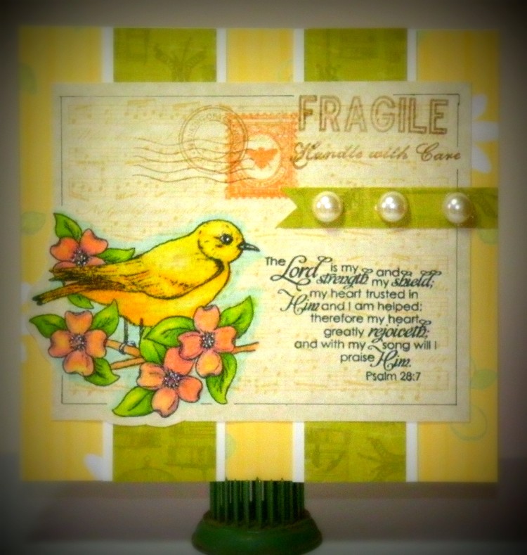 The Sweet Stop SSS200Spotlight Cards