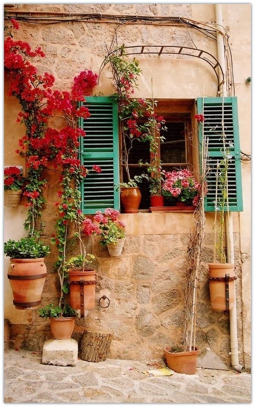 Art Symphony Flowers in the Window