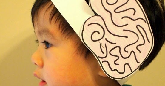 Let's learn about our brain! (Preschool Science Activity ...