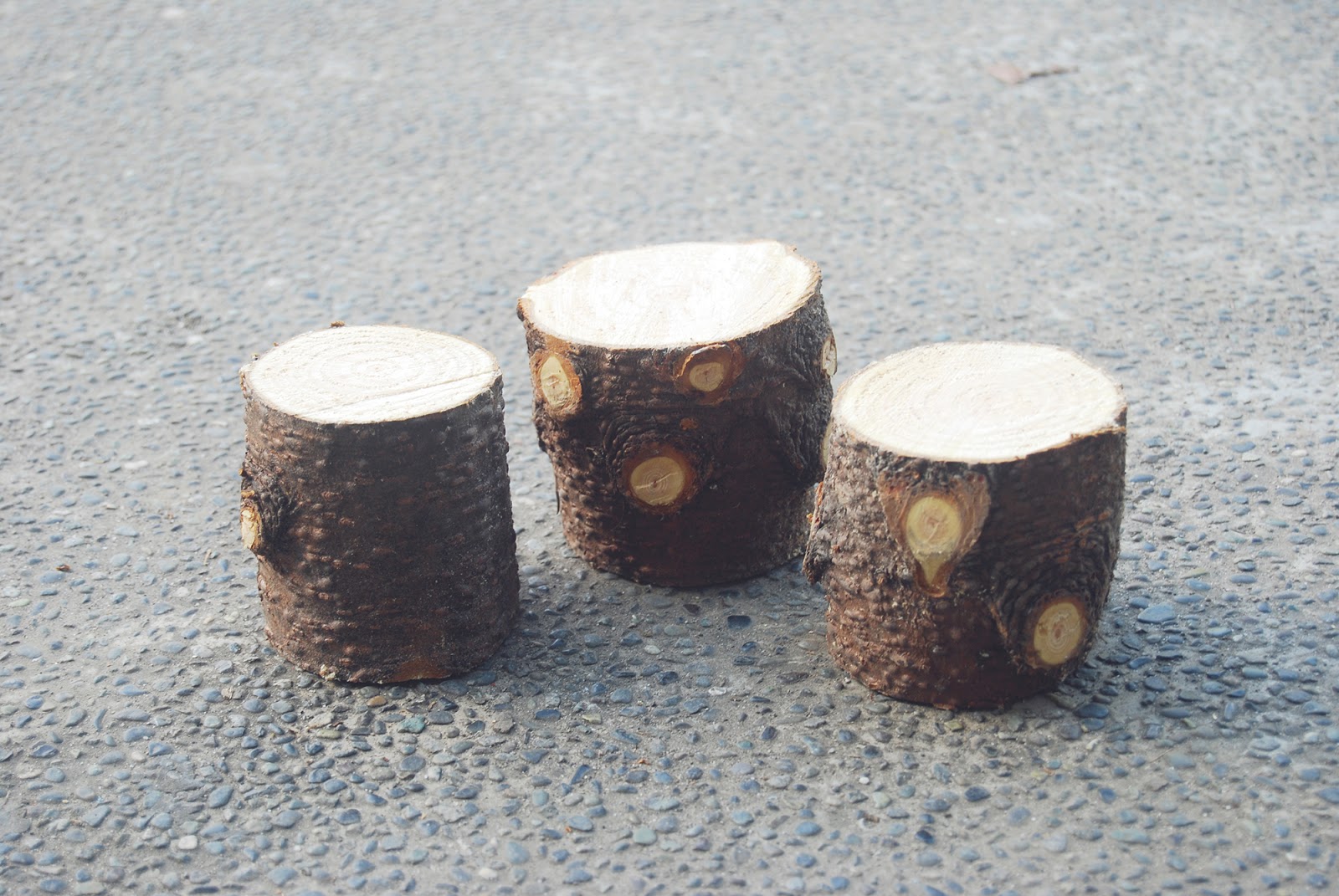 The Pink Doormat Upcycled Pine Tree Branch Candle Holder