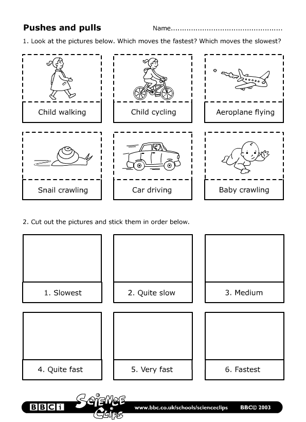 SCIENCE YEAR 2: Worksheets