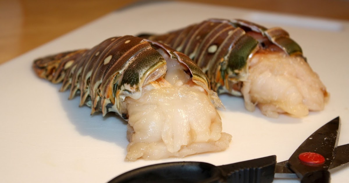 Hello Hungry! Lobster, Lobster!