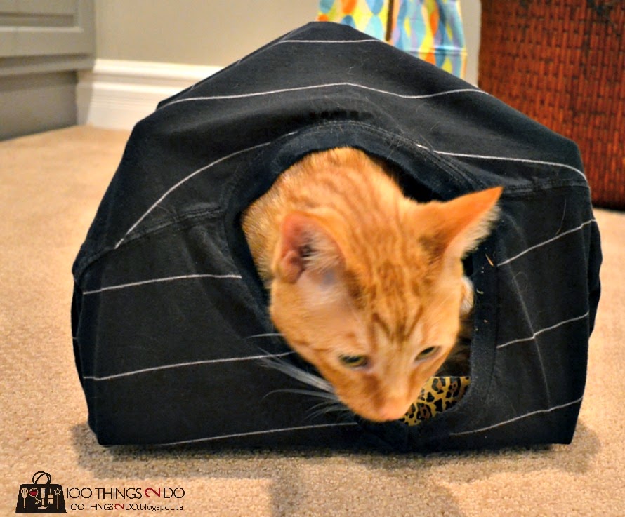 100 Things 2 Do Cat tent. (Actually, a tent for any small animal
