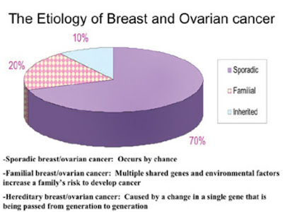 Few women at high-risk for hereditary breast and ovaRian cancer receive genetic counseling