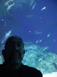 "Den Bla Planet" in Copenhagen. Among the fish in the aquarium.