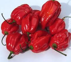 Cabe Bikin Langsing