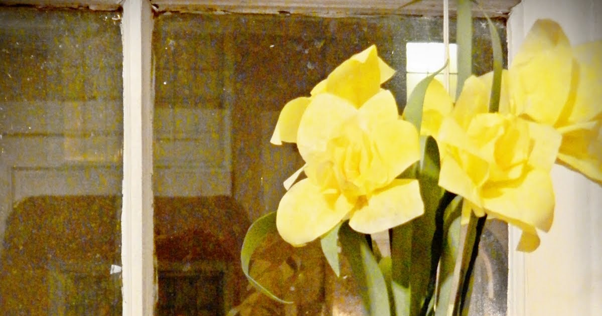 Paper Pendulum Coffee Filter Daffodils