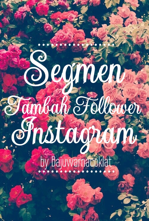Segmen Tambah Follower Instagram