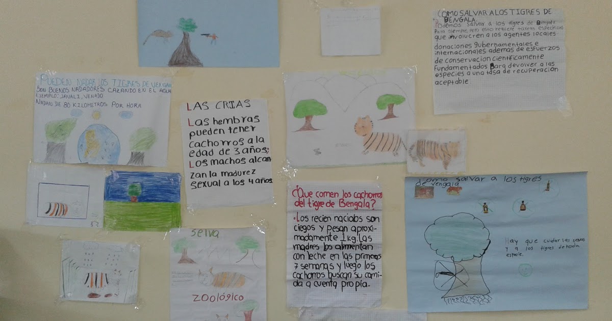 preguntas interesantes sobre la independencia de mexico proyecto quot el tigre de bengala quot escuela primaria vicente preguntas interesantes sobre la independencia de mexico proyecto quot el tigre de bengala quot escuela primaria vicente