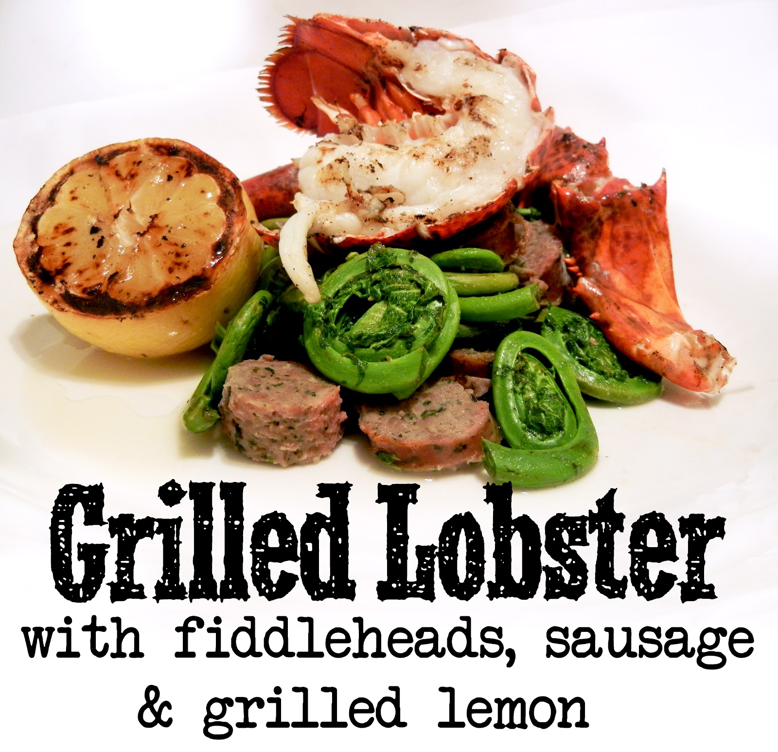 Derek's Kitchen Grilled lobster with fiddleheads