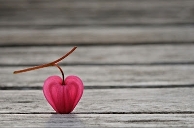 Liebe Schon Wallpaper Bild Liebe Romantische Hintergrundbild