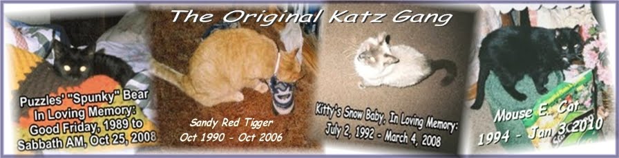 The Original Katie Katz