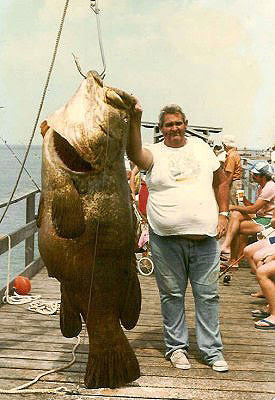 Big Fishes of the World: GROUPER GOLIATH (Epinephelus itajara)