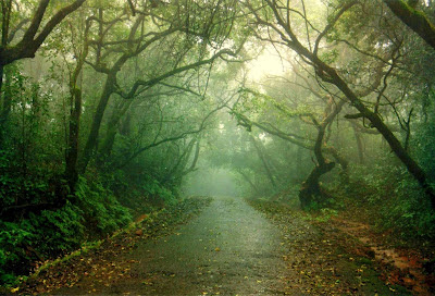 Places To Visit In Mahabaleshwar