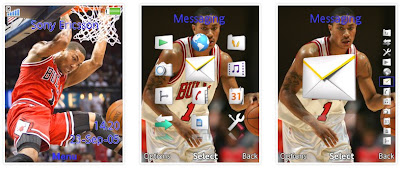 Derrick Rose SonyEricsson手機主題for Elm/Hazel/Yari/W20﹝240x320﹞