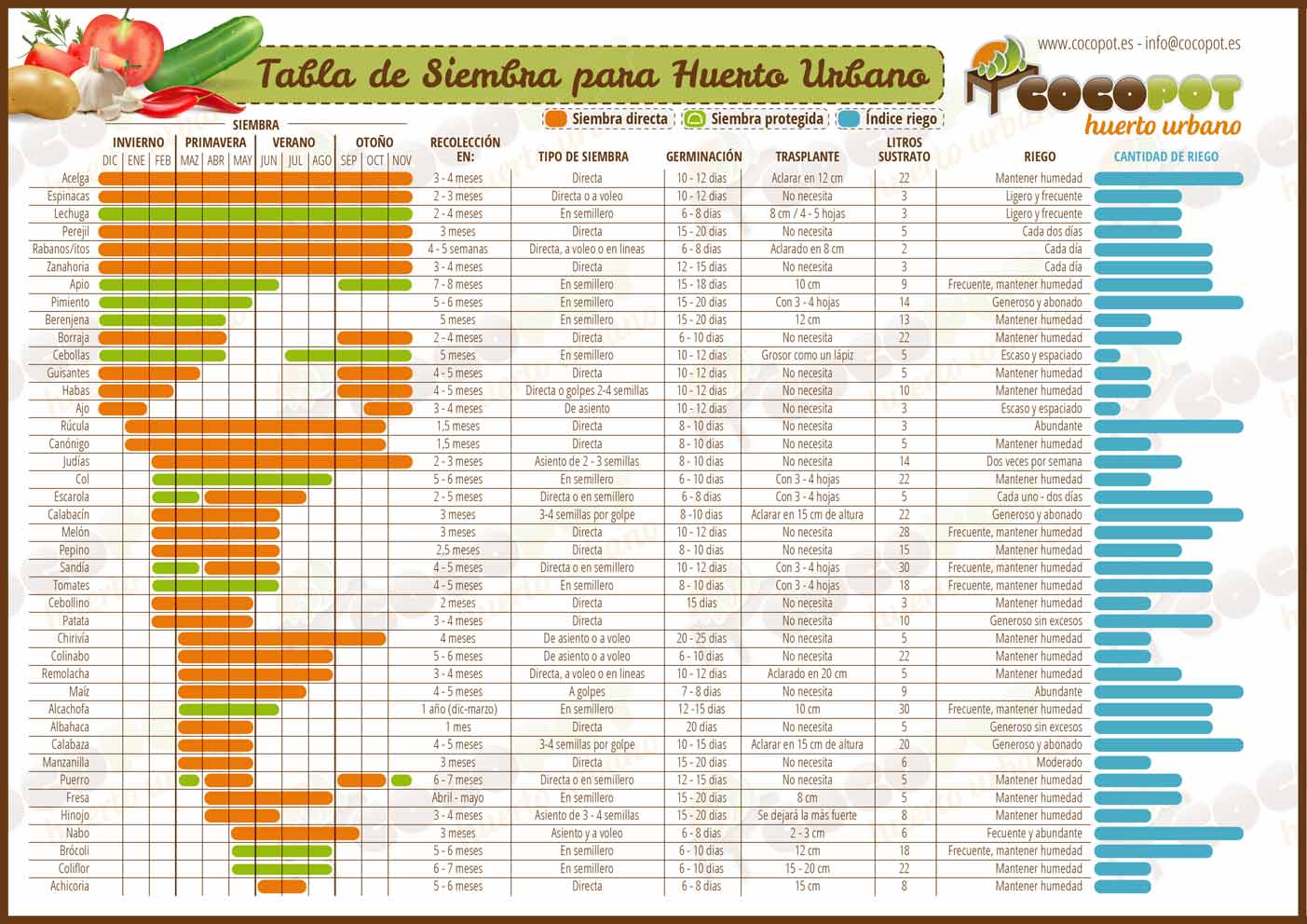 Siembra y cuidados