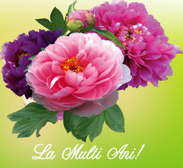 Felicitari Crestine De Ziua De Nastere