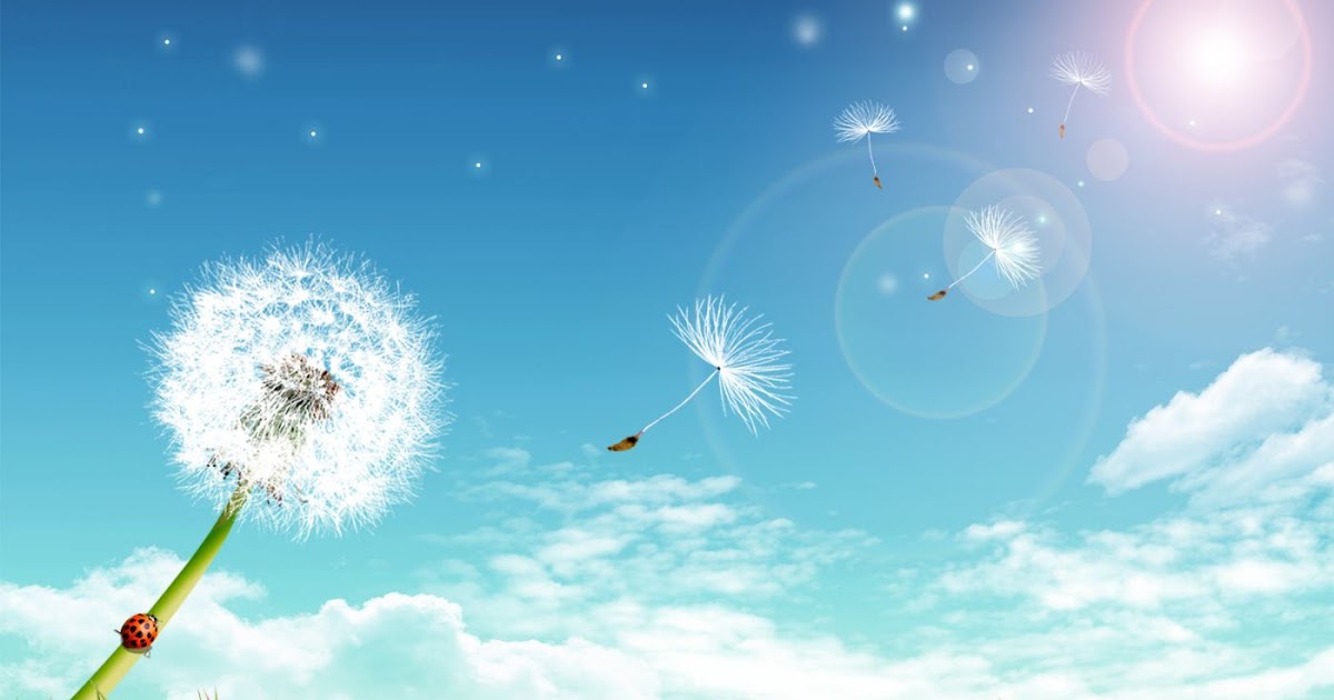 La Luna de Trapo: DÍAS DE SOL.