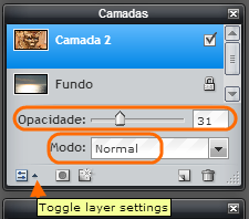 Toggle layer settings Configurações da camada de alternância