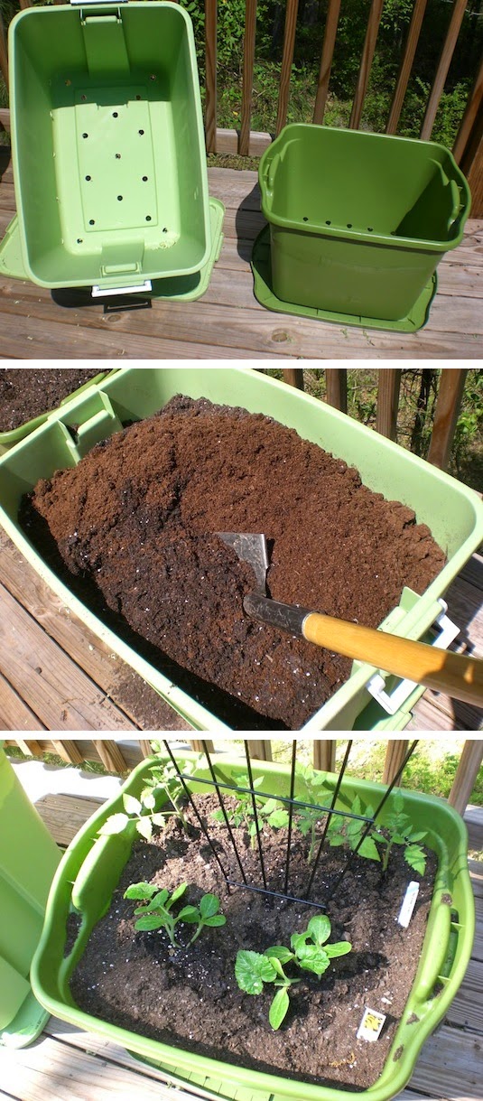 20 Insanely Clever Gardening Tips And Ideas DIY Craft Projects