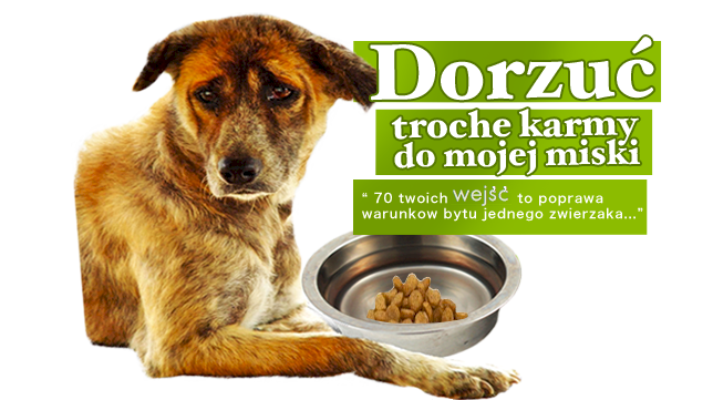 jestem tam codziennie