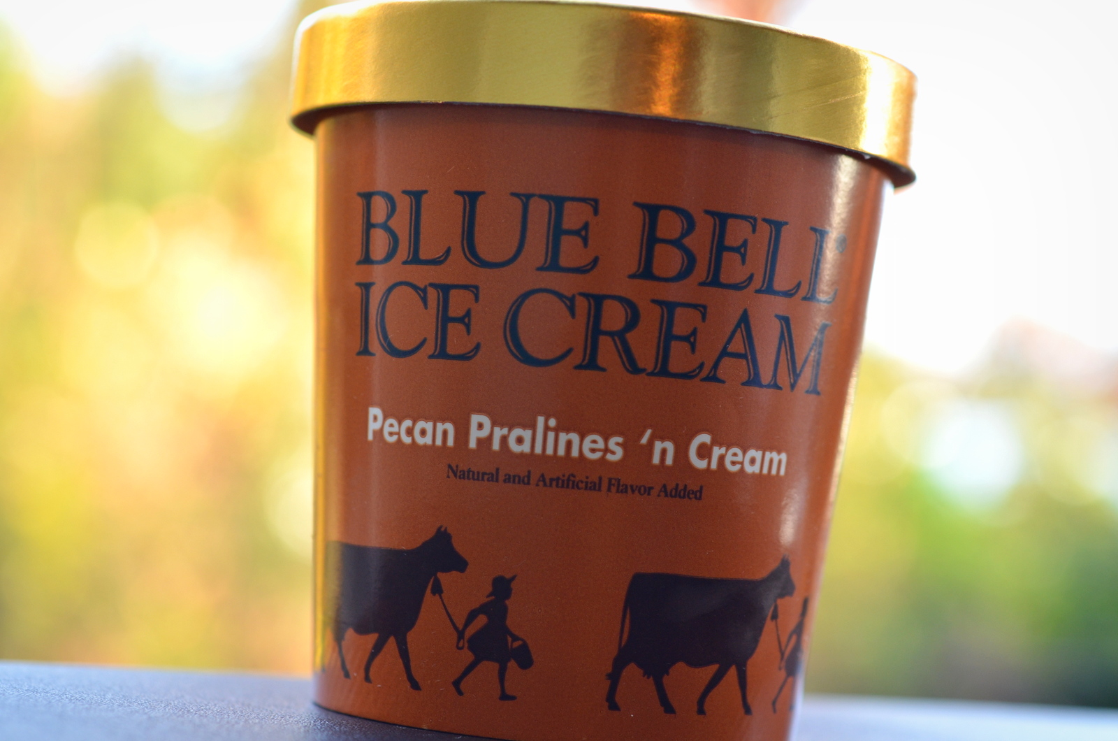 food and ice cream recipes REVIEW Blue Bell Pecan Pralines 'n Cream