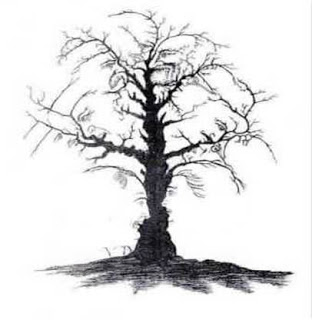 [Image: 13faces.jpg]