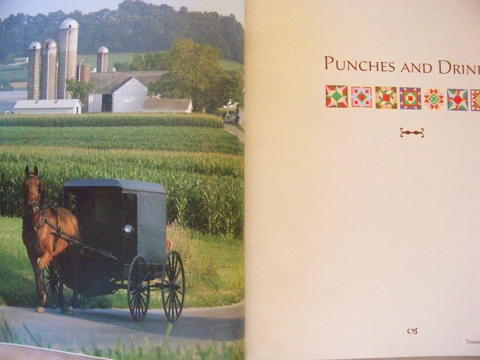 Nov 13, 2011. The Amish can teach us a great deal about personal finance. Their frugal ways,  as noted in last week's column, may be applied to financial habits in the. Here  are more tips you can take from their lifestyle:Appreciate value.