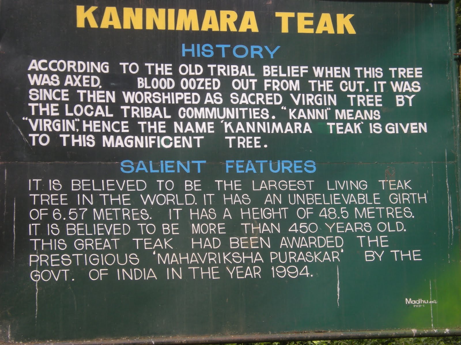 Kannimara Teak