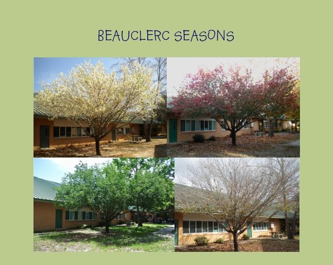 Beauclerc Seasons