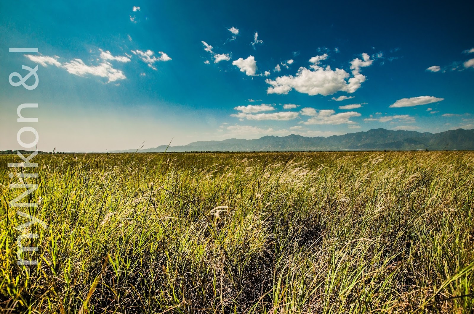 My Nikon and I Grassland that is NOT