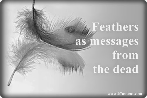 White feathers as messages from the dead