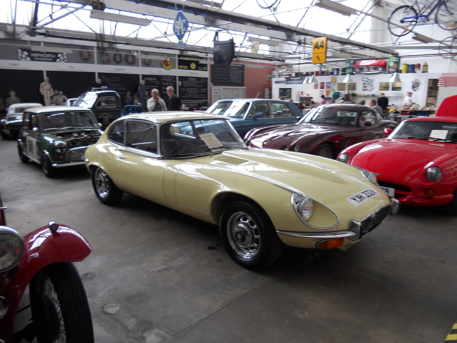 A Little Food Addict