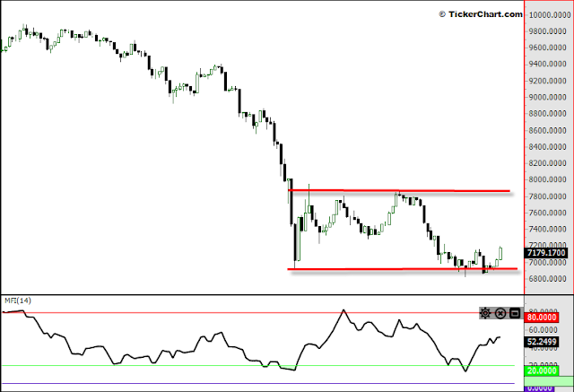 ������ ����� ������ ���� ���� ����� ������