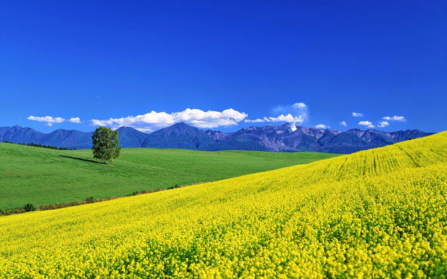 House Of Wallpapers | Free download High Definition Wallpapers