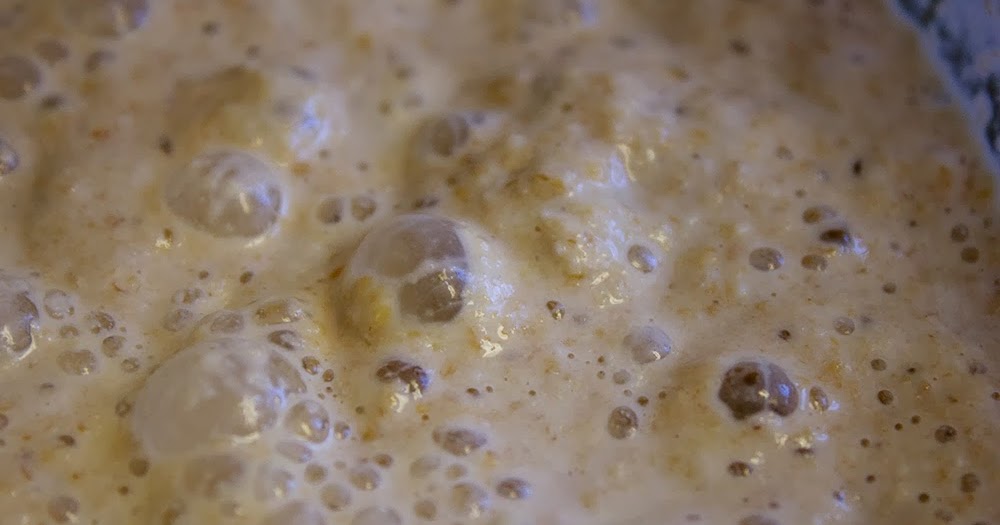 Rurification Natural Yeast Used with Regular Commercial Yeast