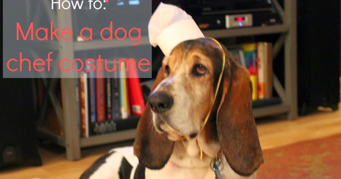 Total Basset Case How to Make a Dog Chef Costume