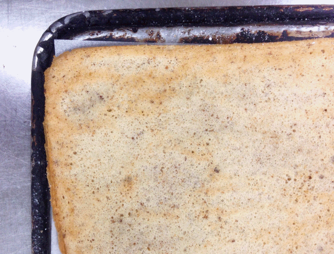 Opera Cake Layer - Hazelnut Sponge Opera Cake Layer - Hazelnut Sponge