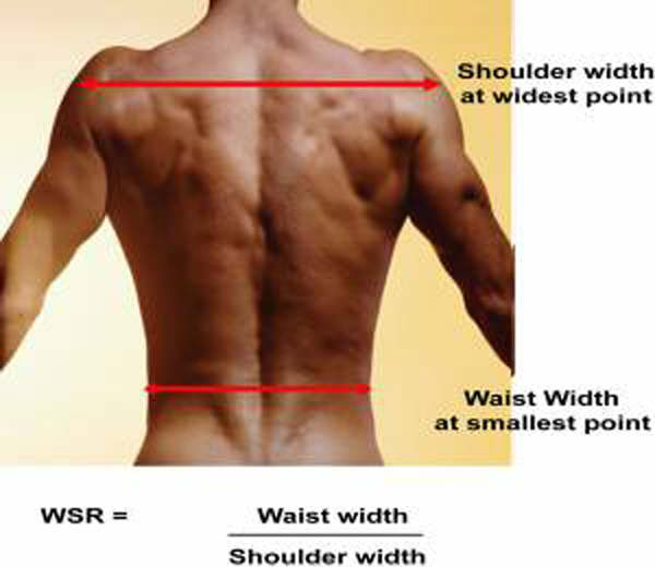 How To Get A V-Shaped Back