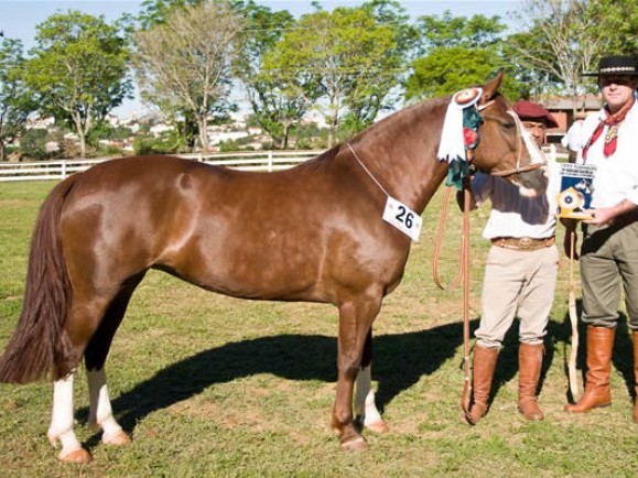 Cabanha Santo Ângelo