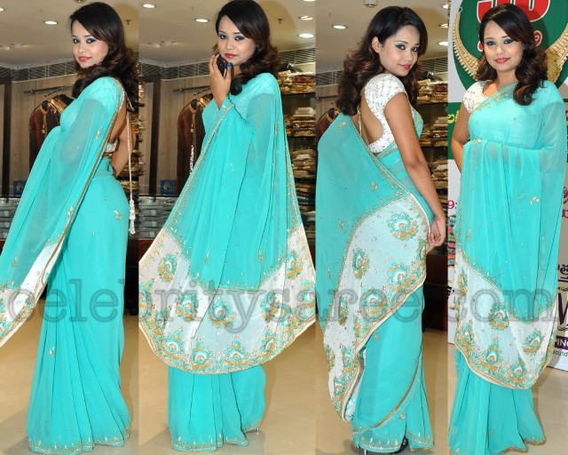 Chiffon Sari with White Designer Blouse