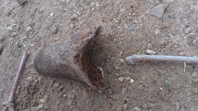 Restos de un femur encontrados en la curva de la Fuente de El Lobo