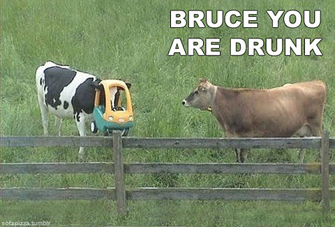bruce+are+you+drunk.jpg