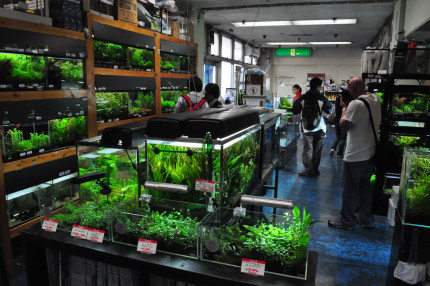 AquaBie List of Aquarium Shop around us