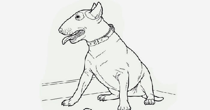 Pitbull coloring page | Free Coloring Pages and Coloring Books for Kids