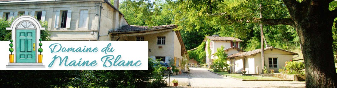 Domaine le maine Blanc